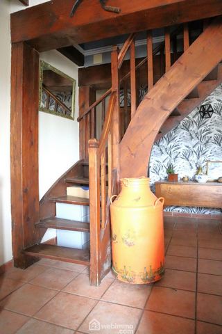 photo no. 12