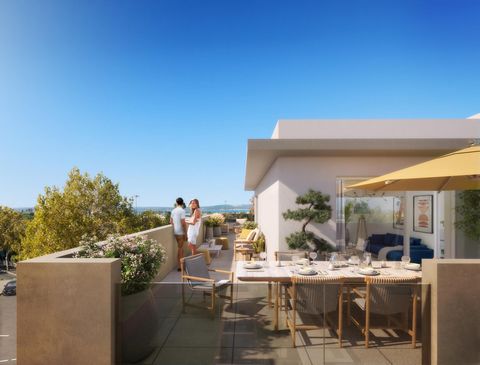 Magnifique T2. Dernière opportunité.