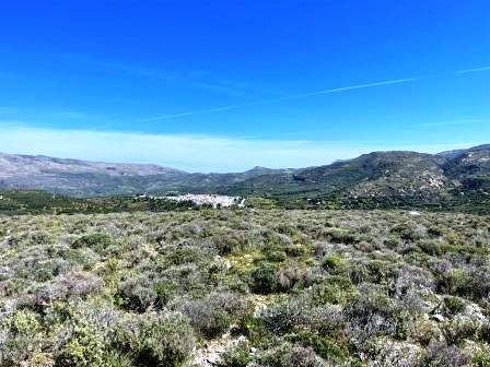 Lithines - Makry Gialos Perceel voor agrarisch gebruik in Lithines. Het perceel is 8.612,98m2 buiten het dorpsplan en biedt uitzicht op de bergen. Lithines ligt op ongeveer 25 km van Sitia en op slechts 10 minuten van Makry Gialos.