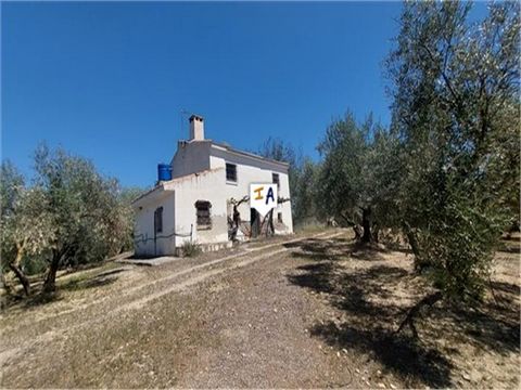 Op zoek naar een huis op het Spaanse platteland met land, dan is dit de perfecte plek, gelegen in Sabariego, dicht bij de historische stad Alcaudete in de provincie Jaen in Andalusië, Spanje. Deze Cortijo met 3 tot 6 slaapkamers en een uitgestrekt vl...