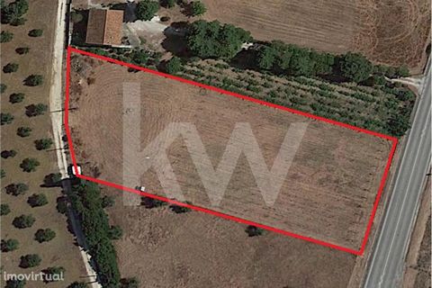 Land with 3950 m2, fully fenced, with two entrances located in the parish of Bugalhos in Alcanena. Excellent location. Excellent access to the land. 22 Km from Santarém 7 Km from Alcanena 10 Km from Torres Novas