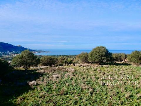 Very nice land located in Corbara (sector of the straws) in a calm and preserved environment. At the end of a dead end, this land is nestled in the heart of the maquis, it does not suffer from any vis-à-vis or any noise pollution. A real little corne...