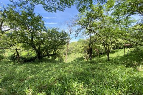 MLS ID:21254 Price:$275,000 Lot Size (acre):15 Acres Lot size (m2):62558 m2 Location:Puriscal areas NeighborhoodTurrubares Property Type:Residential Lots Property Description This 15 acres of Turrubares farm for sale sits within walking distance from...