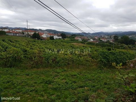 Land for construction with 14,280 m2 in Fornelos Land with 14,280 m2 with viability for 27 lots, 16 individual lots and 11 twined. Excellent location, 5 minutes from fafe city center, with excellent access and good sun exposure. Close to school and k...