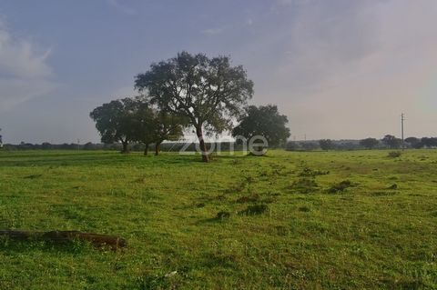 Identificação do imóvel: ZMPT564209 Discover this 75,000 square metre rustic plot in Herdade da Agualva - Marateca, with promising building potential according to the Municipal Master Plan (PDM). The land is classified as 
