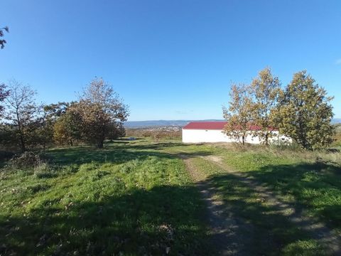 ESTATE WITH 27 HECTARES, farm with tourist potential HERDADE DA FIDALGA is a fabulous property located in the Serra da Estrela Natural Park, municipality of Celorico da Beira. 20 hectares of investment for the production of nuts, high quality: 10 hec...
