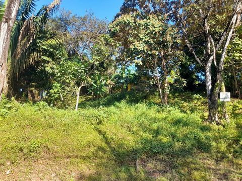 5 lotti in vendita nel quartiere sicuro e bello di Bosque de Lago, a Playa Carrillo. Questa zona è diventata molto popolare negli ultimi anni, con case incantevoli e a pochi minuti di auto da Carrillo e dalla spiaggia. Stazione di servizio e servizi ...