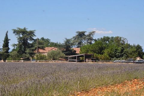Surrounded by fields and lavender, close to Gorges du Verdon and its lakes , discover this authentic stone property of approx. 465 m2. Due to its ideal location it is a very successful B&B and gite rental business. The property has been restored, but...
