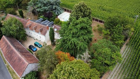 Very beautiful eighteenth century residence set on a plot of 4200 m2 fully enclosed, composed of many ornamental and fruit trees, a heated salt swimming pool and two solar showers. A large entrance hall leads to a living room with fireplace and stove...