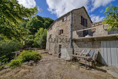 Near Villefort, on the slopes of Mont Lozère Mas T5 of about 97m2 The property has in the DRC a large living room / kitchen with wood stove, sanitary Upstairs: 4 bedrooms All overlooking an ideally exposed terrace, seducing you with the unobstructed ...