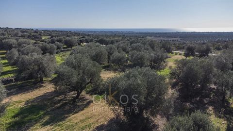 We are honoured to present a splendid plot of land nestled in the serene countryside of Manduria, offering a tranquil sea view and situated merely a short drive from the pristine sandy shores of San Pietro in Bevagna and Campomarino. This parcel unfo...