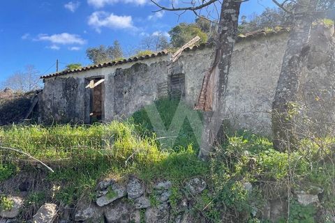 Farm in Monchique, with a plot of 5380m2 that includes a semi-detached house with 58m2 in ruin. Energy and natural resources: - On-site electricity supply - 3 Water mines and 3 tanks - Mature trees, cork oaks, olive trees, orange trees, lemon trees.....