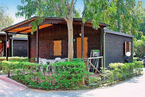 These colorful wooden bungalows are quietly located in the middle of a large parkland surrounded by olive trees. The beach, 1.5 km away, can be easily reached in high season by bus shuttle (from June 1st to August 31st, for a fee). The facility is pa...