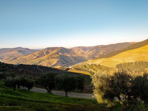 Surrounded by a stunning landscape, Quinta da Carvalheira enjoys a unique exposure in Ervedosa do Douro. The property has a main house made up of two distinct bodies, both in plastered stone. In the first, we find a two-story house. On the ground flo...
