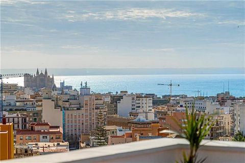 Penthouse with terrace on the ground floor and spectacular views of the Bay of Palma. This penthouse consists of a living room with integrated kitchen furnished and equipped and access to the terrace with views, 2 double bedrooms, 1 bathroom, toilet,...