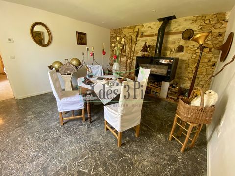 In the charming town of Belbèze-en-Comminges, between calm and magnificent views, this pure Commingeoise awaits you! It is composed of 3 bedrooms, a living room, a dining room, a kitchen, an office as well as a bathroom with toilet and a shower room ...