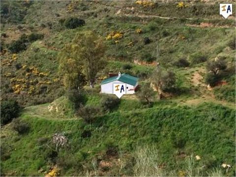 Ce chalet rural se trouve dans la province de Malaga, dans les hauteurs des collines, sur un terrain de 60 000 m2 composé de caroubiers, d'amandiers et d'oliviers. La propriété offre une vue imprenable sur la campagne environnante et, au loin, sur la...
