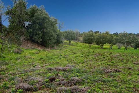 Au cur du département de l'Aude, à 20 km de Carcassonne et à proximité des plages méditerranéennes, venez découvrir ce terrain exceptionnel de 1600 m².** ? Imaginez votre future maison nichée dans un écrin de verdure, avec une vue imprenable sur les ...
