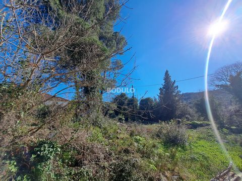 In the beautiful island place Sutomišćica on the island of Ugljan, a building plot of 576 m2 is for sale. It is located at a distance of only 300 meters from the sea and approx. 600 meters from the sandy beach. The land has a regular square shape, id...