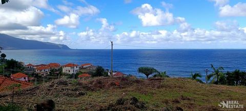 Located in São Vicente. Land with 1530 m2, with good sun exposure and a good view of the sea, mountain and the slope that joins Seixal and Porto Moniz. This property has an agricultural warehouse and is located in the lower area of the parish of Pont...