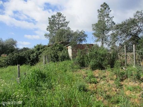 Farm in a village near Vila Velha de Ródão. With south sun exposure, two good accesses on dirt. Composed of two wells and haystack. Plenty of pines, olive trees, cork oaks and fruit trees. All sealed with a gate and padlock. 5 minutes from Vila Velha...