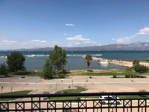 110m ² SEA VIEW apartments complex: Apartments 77m² + studio 33 m² side by side adjoining balconies on first floor. PERFECT INVESTMENT & TOP LOCATION with FRONT LINE SEA VIEW Fully renovated apartments plus 14m² balconies. In the heart of Chalkoutsi ...