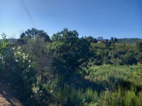 Land with 29220m2 in Roqueiro, Estreito With good access to the main road. Composed of eucalyptus, pine and fruit trees. And it has a well. Don't miss out on this business opportunity. The Real Estate Consultant who will be by your side from the sele...