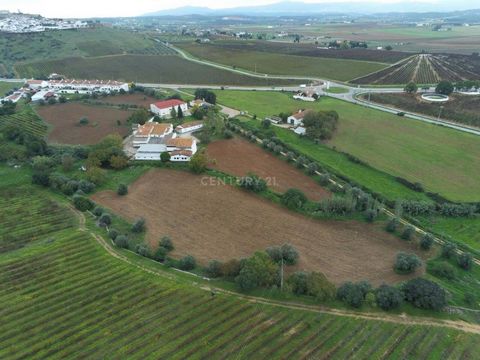 Located in Estremoz, 1h30m from Lisbon, 30 minutes from Badajoz and 500 meters from the A6 (Lisbon/Madrid), this magnificent farm, which for some years served as a shelter for young people, under the shelter of a private Social Solidarity institution...