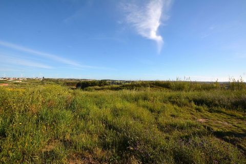 Rustic land with 9040 m2 of total area, being a eucaliptal part. Public roads are in both the South and the West. Located in the Serra D'El-Rei, in the municipality of Peniche. Next to the most beautiful beaches of the Silver Coast (7 minutes), near ...