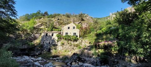 In the Mas valley in Antraïgues, dear to Jean Ferrat, you will let yourself be lulled by the river while looking at the wild nature and the surrounding mountains. An old restored mill with character renovated in early 2015 with garden. Exceptional lo...