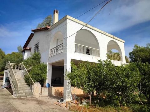 Within two and a half sq.meters plot with drilling and an olive grove with the most beautiful view of Eretria, a single-family house built in 1985. Only 90 minutes from Athens airport and close to the charming seaside resort of Eretria. The house con...