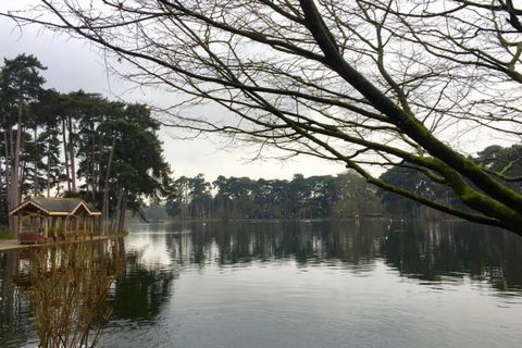 photo no. 17