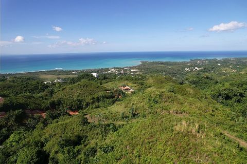 Land for Sale with Ocean and Mountain Views! Area: 19,000 m² Location: Just 10 minutes from the center of Las Terrenas and the beaches. This amazing piece of land offers vehicle access, availability of water and electricity, and is ready to build. En...