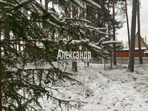 1701635 Приозерский район, Ромашкинское сельское поселение предлагаем купить участок площадью 12 соток на границе с лесом в садоводстве Речное. Участок расположен рядом с лесом, огорожен с двух сторон, имеет свою историю, так как территория садоводст...