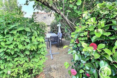 Are you dreaming of a vacation on the Pink Granite Coast, close to the sea, in a cocooning atmosphere? So book The little Pink, a pretty house completely renovated using quality materials. and taking particular care with decoration! all in harmony! Y...