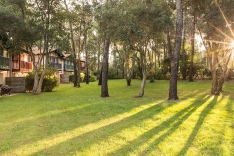 Een prachtig zandstrand dat zich uitstrekt zover het oog reikt, een van de langste van Frankrijk, op slechts 1 uur van Biarritz, aan de rand van het bos van Landes, de 9e grootste golfbaan van Frankrijk en een intensieve beoefening van boardsporten, ...