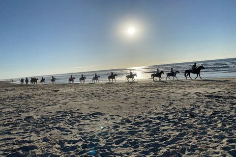 Kindvriendelijk, grote tuin, terras, dichtbij het strand, strandhuis, rustige ligging op het platteland, speelgoed, zandbak, grill, wasmachine, vaatwasser