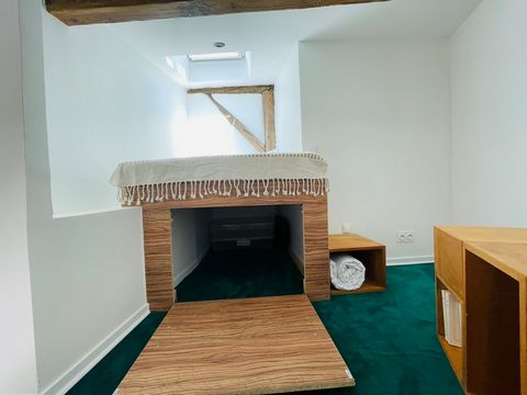 photo no. 11