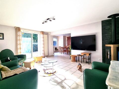 photo no. 10