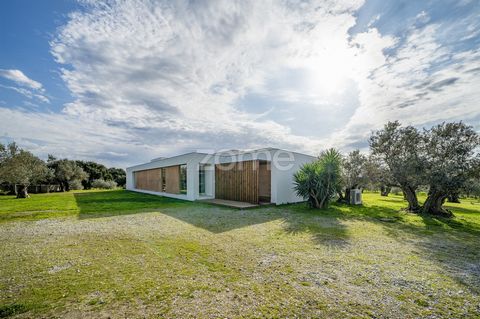 Bauernhof mit Olivenhain in Évora: Luxusvilla, Nebengebäude und landwirtschaftliches Land. In der ruhigen Gemeinde Bacelo und Senhora da Saúde in Évora gelegen, beeindruckt dieses Anwesen mit seiner Kombination aus Komfort, erstklassiger Ausstattung ...