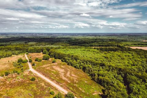 Dit gerestylede vrijstaande, gelijkvloerse chalet staat op vakantiepark Bospark De Schaapskooi, op 3,5 km. van het centrum van Epe, te midden van de prachtige natuur van de Veluwe. Het chalet is gezellig en comfortabel ingericht. Zo beschikt u in de ...