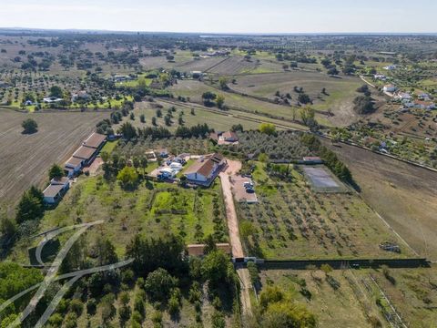 Exceptional self sustainable farm of 2,5 ha in the historical area of Évora, Montemor, São Cristovão. This property is designed to enjoy the perfect balance between private and guest areas. Offering a main villa, 350 sqm, 1 suite and 3 bedrooms, 2 ba...