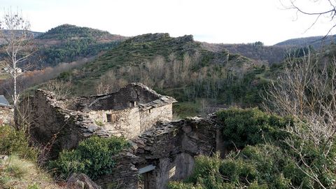 In der Nähe des Dorfes VEBRON, im Herzen der Cevennen, Grundstück mit Ruine, Grundbuch und nicht entwässertem Brunnen. Zufahrt über eine mit dem Auto befahrbare Straße und Möglichkeit für LKWs, bei einem möglichen Wiederaufbau darauf zuzugreifen. Der...