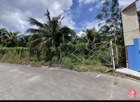 Welcome to an exceptional opportunity in the heart of Rawai Thailand! This stunning allotment of land spans an impressive 8,800 square meters, offering a blank canvas for your dreams to take shape. Whether you envision building your dream home, devel...