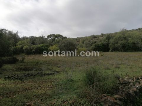 Ein großes Naturgrundstück in der Gemeinde Loulé. In der Nähe prächtiger Villen gelegen und mit einfachem Zugang. Es hat auch eine herrliche Aussicht auf die Umgebung. Gut gelegen, nur eine kurze Fahrt zum Bahnhof und zum Flughafen. In der Gemeinde L...