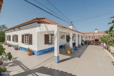 Diese traditionelle Villa im Alentejo ist ein wahres Refugium im Herzen von Melides. Beim Betreten des Anwesens werden Sie von einem großen und hellen Wohnzimmer begrüßt, das an kalten Tagen zum Entspannen am Kamin einlädt. Die Holzoberflächen sorgen...