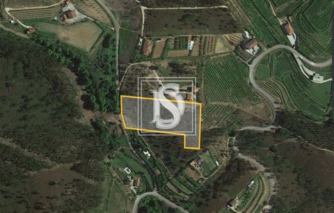 REF: BRAGALIBERDADECM920 Unmissable opportunity! Rustic land of 8,800 m² for sale in Rua Corte da Velha, Arnoia, Celorico de Basto, Braga. A refuge with potential for exploration and development. This vast terrain awaits your entrepreneurial vision. ...