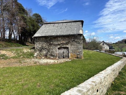 photo no. 3