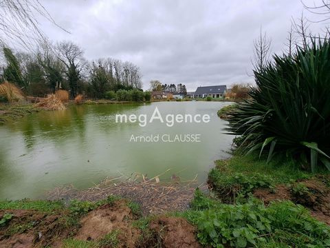photo no. 10