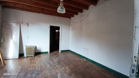 photo no. 11